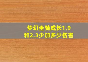 梦幻坐骑成长1.9和2.3少加多少伤害