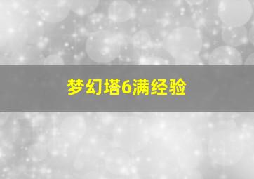 梦幻塔6满经验