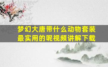 梦幻大唐带什么动物套装最实用的呢视频讲解下载