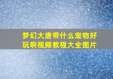 梦幻大唐带什么宠物好玩啊视频教程大全图片