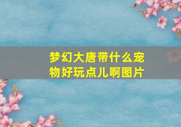 梦幻大唐带什么宠物好玩点儿啊图片