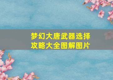 梦幻大唐武器选择攻略大全图解图片