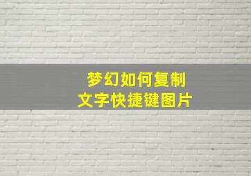 梦幻如何复制文字快捷键图片