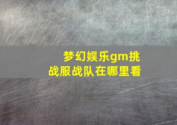 梦幻娱乐gm挑战服战队在哪里看