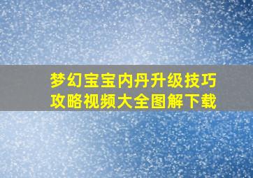 梦幻宝宝内丹升级技巧攻略视频大全图解下载