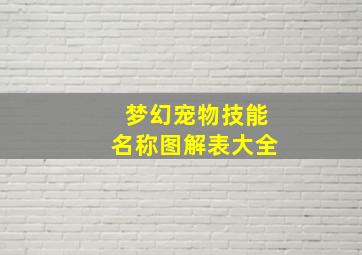 梦幻宠物技能名称图解表大全