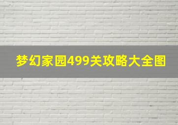 梦幻家园499关攻略大全图