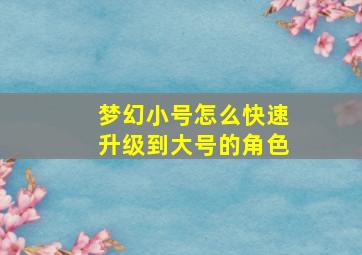 梦幻小号怎么快速升级到大号的角色