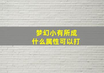 梦幻小有所成什么属性可以打