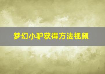 梦幻小驴获得方法视频