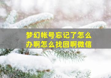 梦幻帐号忘记了怎么办啊怎么找回啊微信