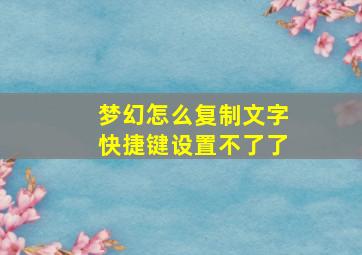 梦幻怎么复制文字快捷键设置不了了