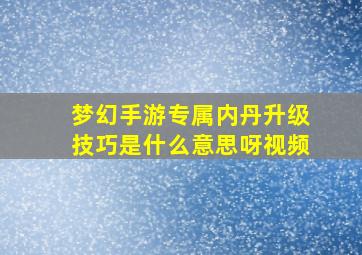 梦幻手游专属内丹升级技巧是什么意思呀视频