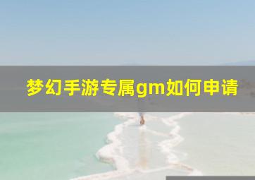 梦幻手游专属gm如何申请