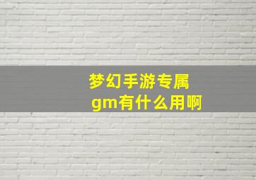 梦幻手游专属gm有什么用啊