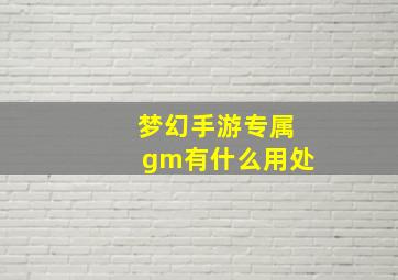 梦幻手游专属gm有什么用处