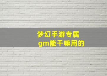 梦幻手游专属gm能干嘛用的