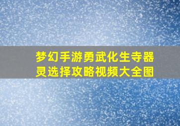 梦幻手游勇武化生寺器灵选择攻略视频大全图