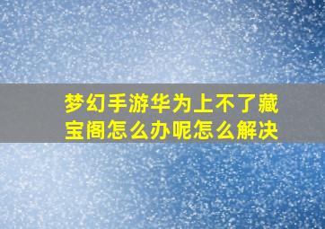 梦幻手游华为上不了藏宝阁怎么办呢怎么解决