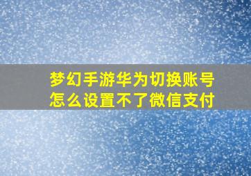 梦幻手游华为切换账号怎么设置不了微信支付