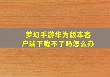 梦幻手游华为版本客户端下载不了吗怎么办