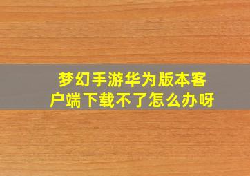 梦幻手游华为版本客户端下载不了怎么办呀