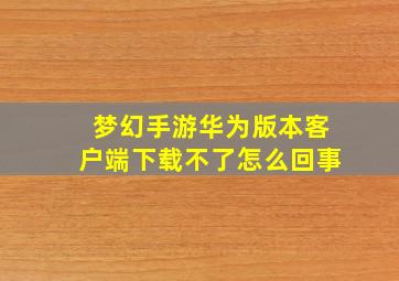 梦幻手游华为版本客户端下载不了怎么回事