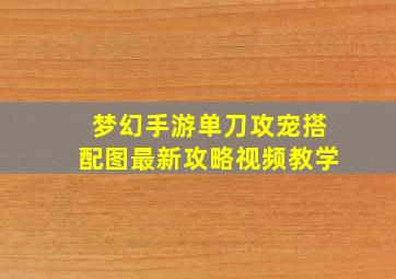 梦幻手游单刀攻宠搭配图最新攻略视频教学