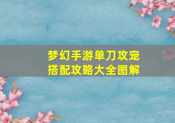 梦幻手游单刀攻宠搭配攻略大全图解