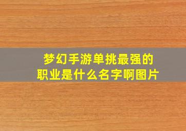 梦幻手游单挑最强的职业是什么名字啊图片