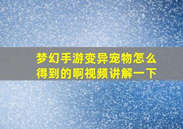 梦幻手游变异宠物怎么得到的啊视频讲解一下