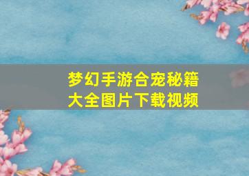 梦幻手游合宠秘籍大全图片下载视频