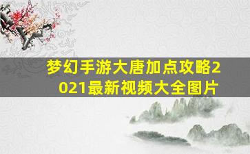 梦幻手游大唐加点攻略2021最新视频大全图片