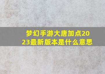 梦幻手游大唐加点2023最新版本是什么意思