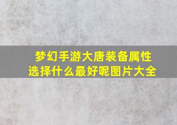 梦幻手游大唐装备属性选择什么最好呢图片大全