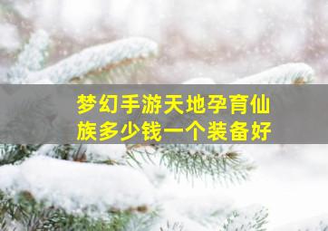 梦幻手游天地孕育仙族多少钱一个装备好