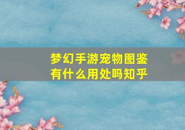 梦幻手游宠物图鉴有什么用处吗知乎