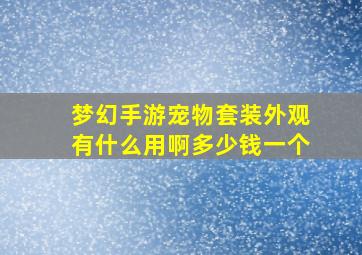 梦幻手游宠物套装外观有什么用啊多少钱一个