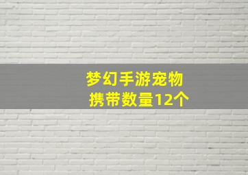 梦幻手游宠物携带数量12个