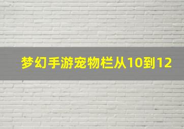 梦幻手游宠物栏从10到12