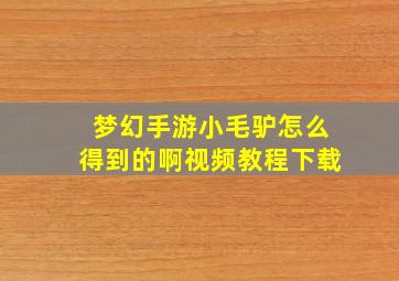 梦幻手游小毛驴怎么得到的啊视频教程下载