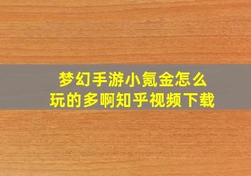 梦幻手游小氪金怎么玩的多啊知乎视频下载