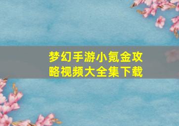 梦幻手游小氪金攻略视频大全集下载