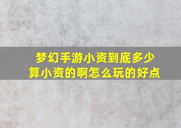 梦幻手游小资到底多少算小资的啊怎么玩的好点