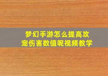 梦幻手游怎么提高攻宠伤害数值呢视频教学