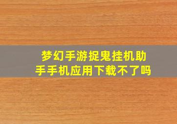 梦幻手游捉鬼挂机助手手机应用下载不了吗