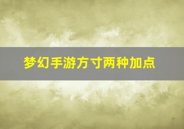 梦幻手游方寸两种加点