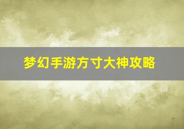 梦幻手游方寸大神攻略