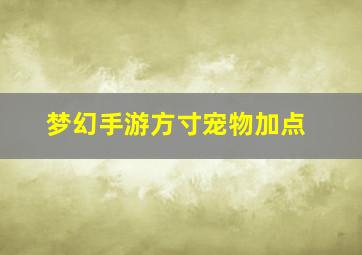 梦幻手游方寸宠物加点