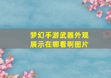 梦幻手游武器外观展示在哪看啊图片